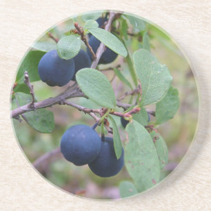Wild Berries coaster