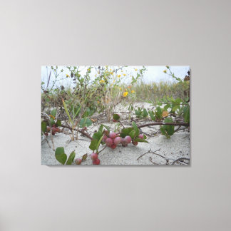Wild Berries on the Beach Canvas Print