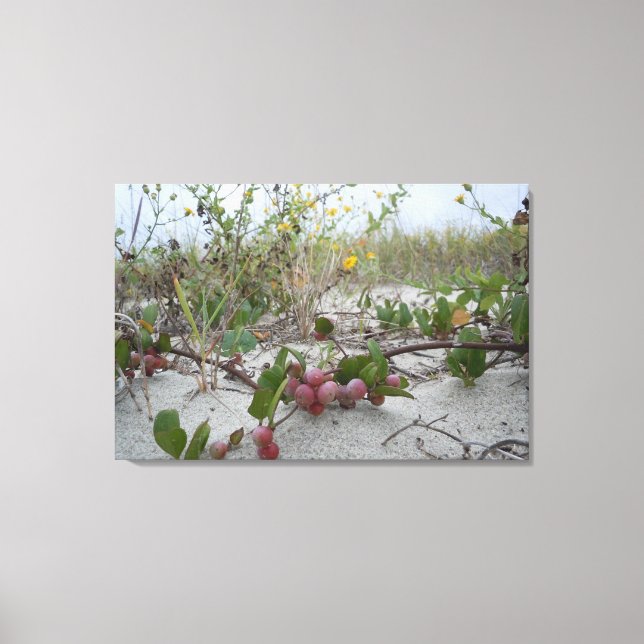Wild Berries on the Beach Canvas Print (Front)