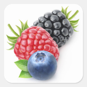 Wild berries square sticker