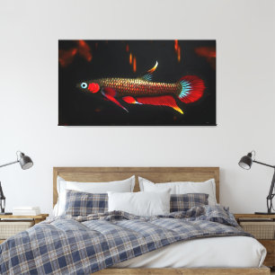 Wild Betta Livida – The Beauty of Blackwater Swamp Canvas Print