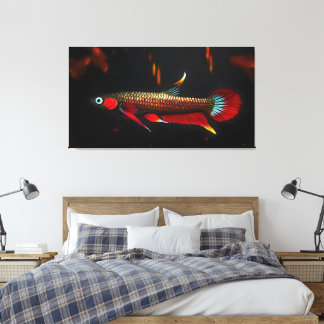 Wild Betta Livida – The Beauty of Blackwater Swamp Canvas Print