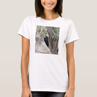 Wild Bird Shirt: Pileated Woodpecker T-Shirt