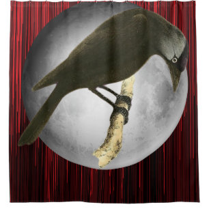 Wild Birds Art - The Moon Raven