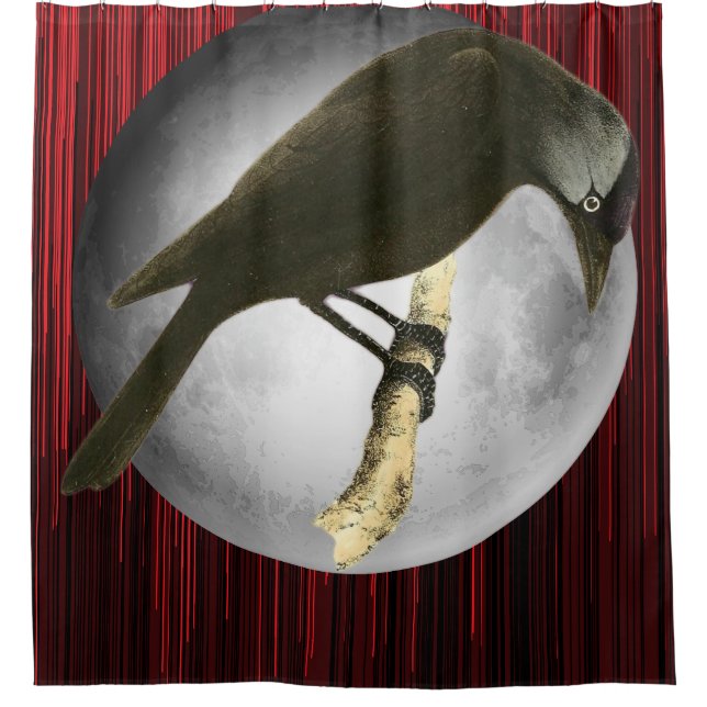 Wild Birds Art - The Moon Raven  (Front)