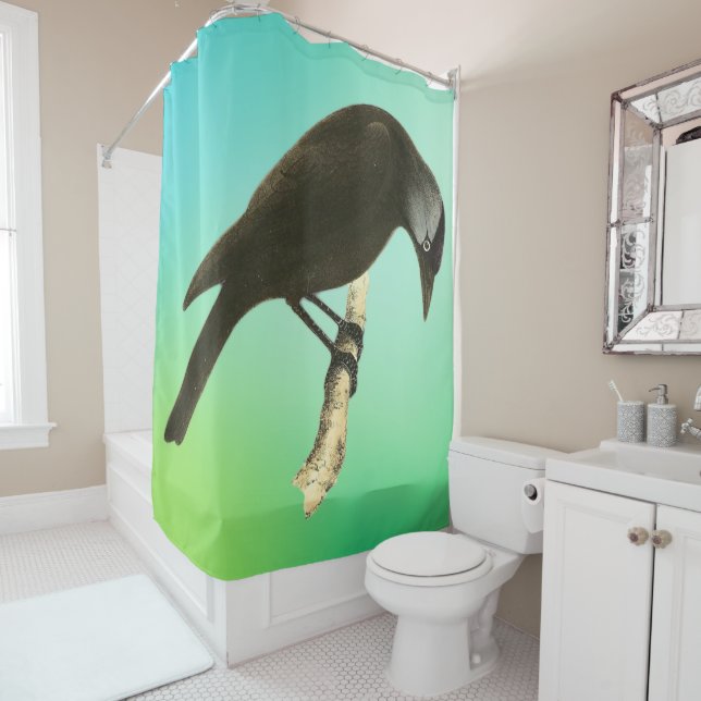 Wild Birds Art - The Raven  (In Situ)