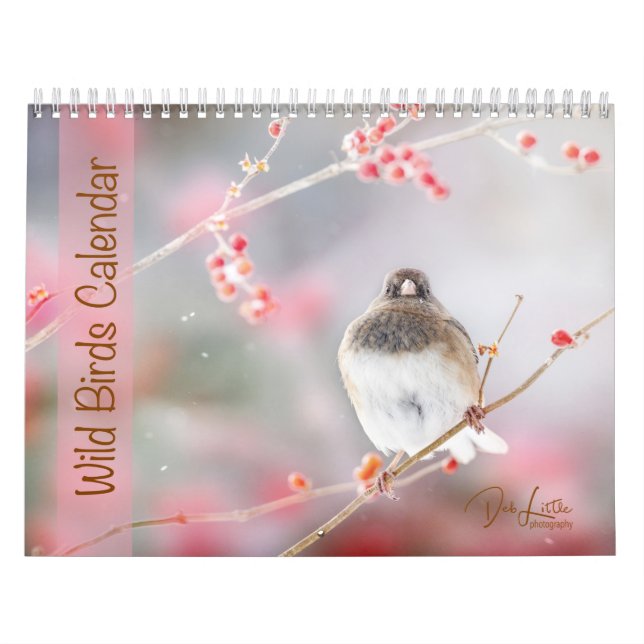 Wild Birds Calendar (Cover)