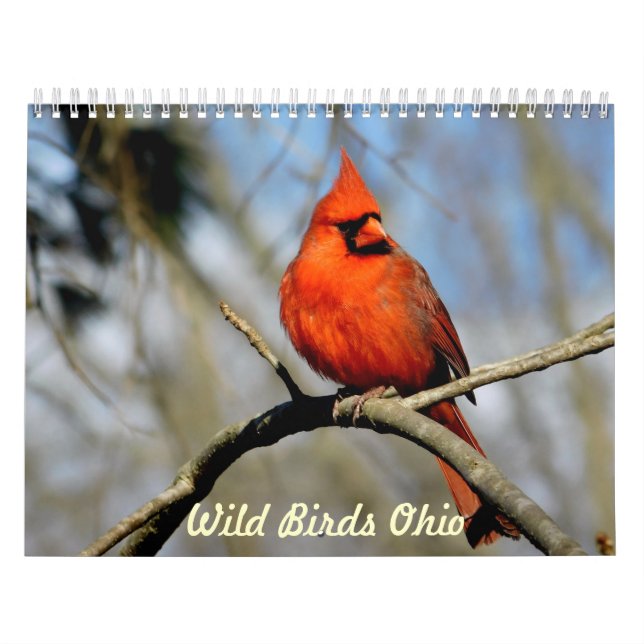 Wild Birds Ohio Calendar (Cover)