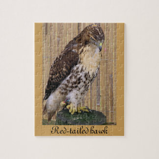 Wild Birds: Red-Tailed Hawk Jigsaw Puzzle