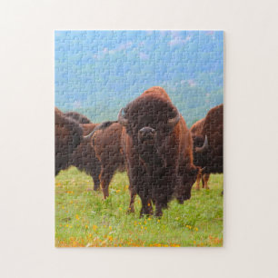 Wild Bison Oklahoma. Jigsaw Puzzle