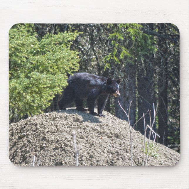 Wild Black Bear Cub & Mud Hill Wildlife Photo Gift Mouse Pad (Front)