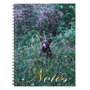 Wild Black Bear Cub Wildlife Photo Notebook