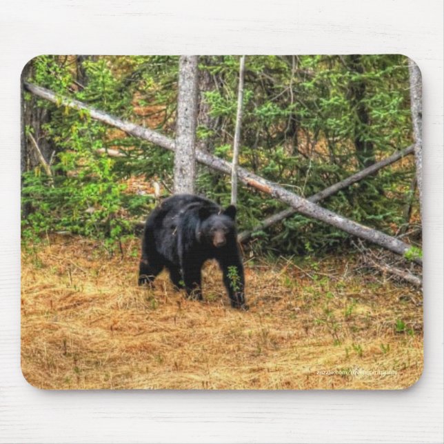 Wild Black Bear & Yukon Forest Photo Art Mouse Pad (Front)