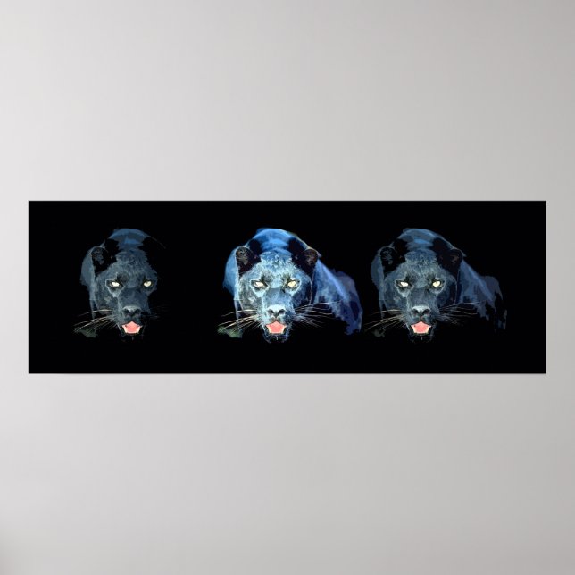 Wild Black Jaguar Cat Eyes Blue Tones Poster (Front)