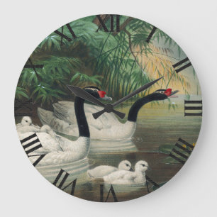 Wild Black-Necked Swan Family Vintage Art Large Clock