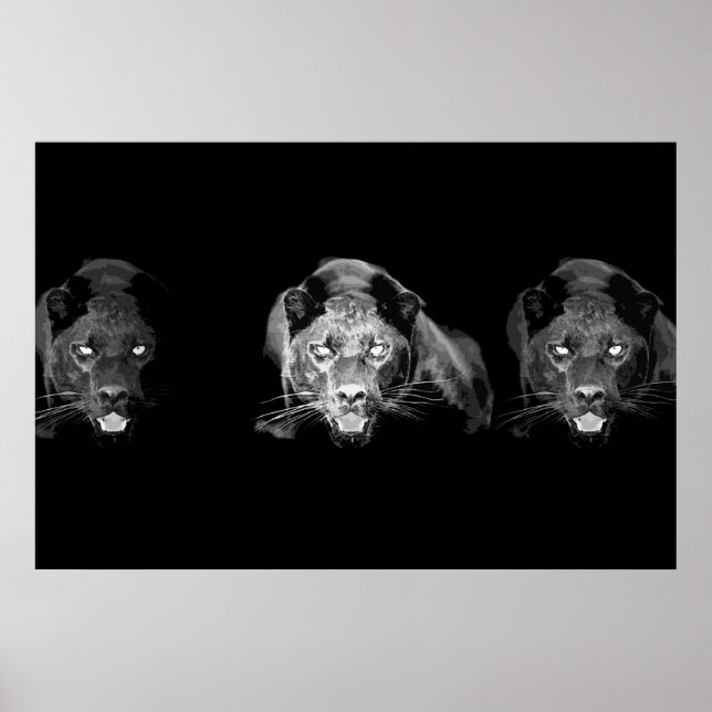 Wild Black Panther Jaguar Cat Eyes Black & White Poster (Front)