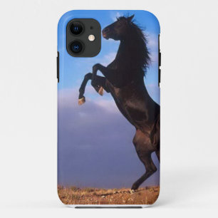 Wild Black Stallion Rearing Horse iPhone 11 Case
