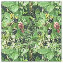 Wild Blackberries Summer Cottage Cabin Decor