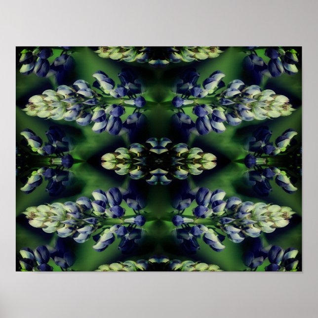 Wild Blue Lupine Flowers Nature Abstract  Poster (Front)