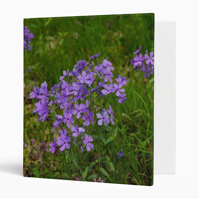 Wild Blue Phlox Binder (Front/Inside)