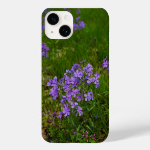 Wild Blue Phlox iPhone Case