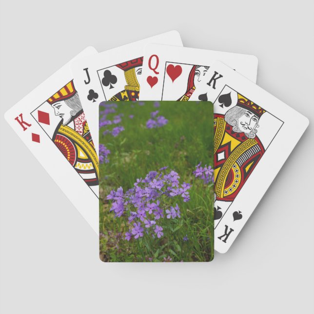 Wild Blue Phlox Playing Cards (Back)