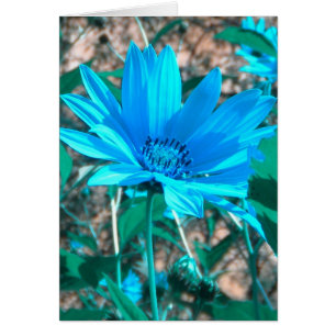 Wild Blue Sunflower Card *customize*