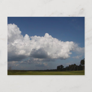 Wild Blue Yonder Postcard