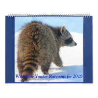 Wild Blue Yonder Raccoons of 2019