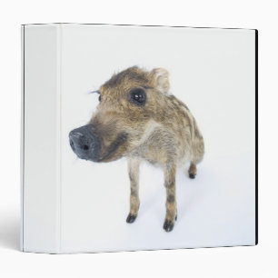 Wild boar binder