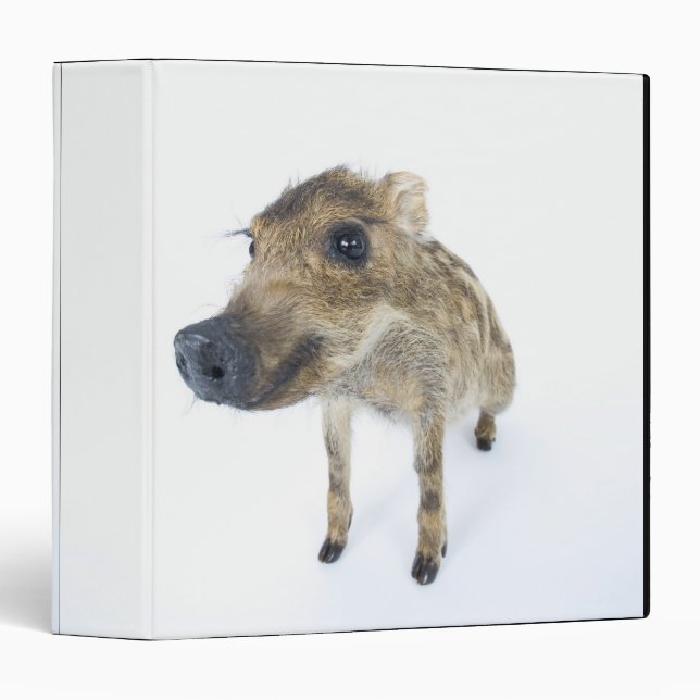 Wild boar binder (Front/Spine)