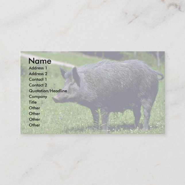 Wild Boar Business Card (Front)