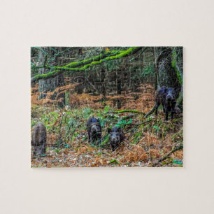 Wild Boar Jigsaw Puzzle