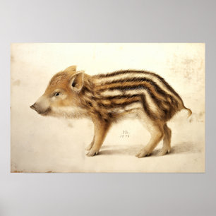WILD BOAR PIGLET / Animal Drawings Poster