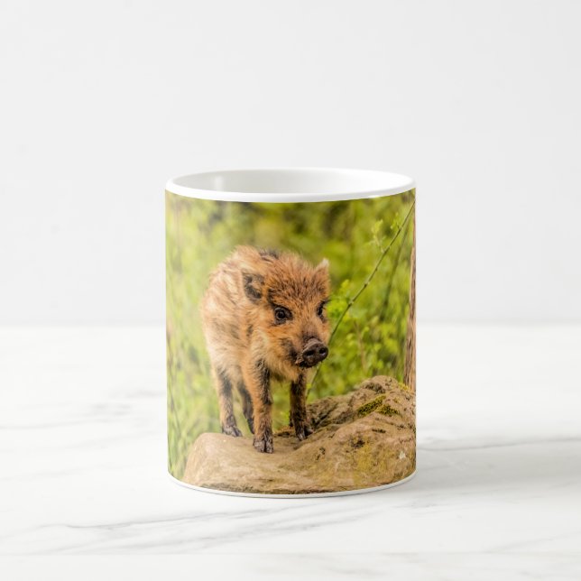 Wild Boar Piglet Coffee Mug (Center)