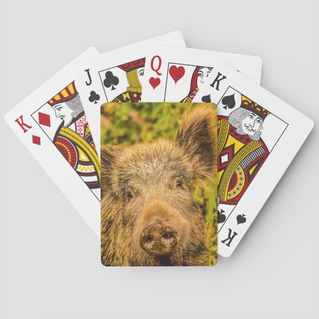 Wild Boar Playing Cards (Back)