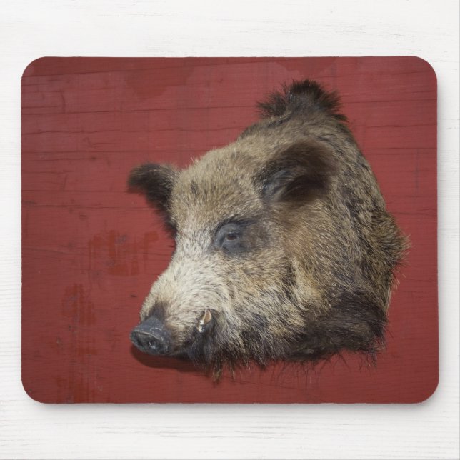 Wild Boar Trophy Mouse Pad (Front)