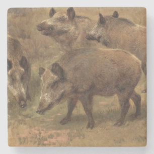 Wild Boars in a Grassy Landscape (by Rosa Bonheur) Stone Coaster