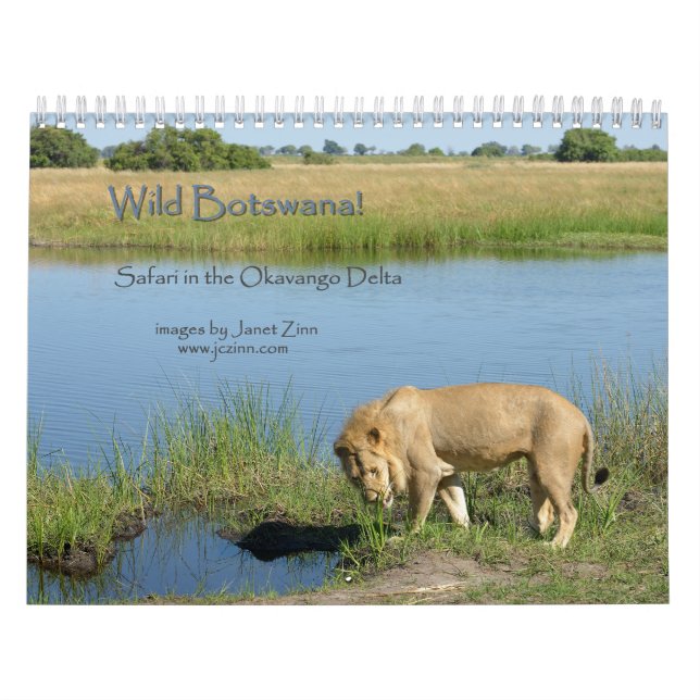 Wild Botswana! Safari in the Okavango Delta Calendar (Cover)