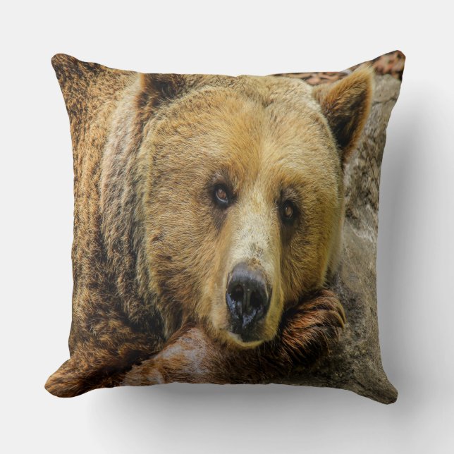 Wild Brown Bear Throw Pillow (Front)