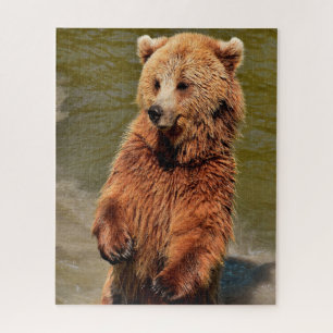 Wild Brown Bears. Jigsaw Puzzle