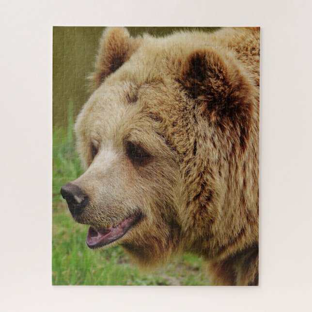 Wild Brown Bears. Jigsaw Puzzle (Vertical)