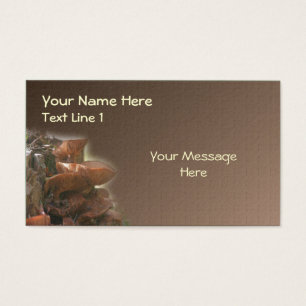 Wild Brown Champhroom Stack Nature