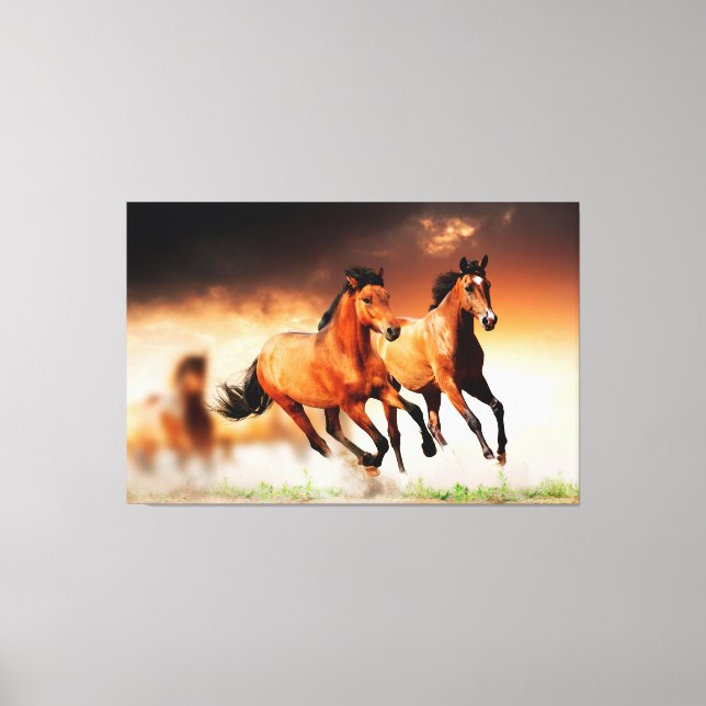 Wild Brown Horses Running Canvas Print (Front)