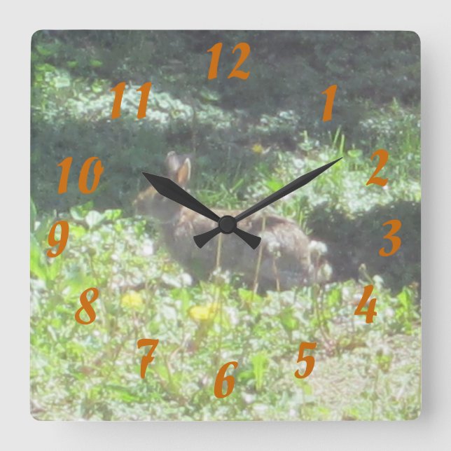 Wild Bunny Clock (Front)