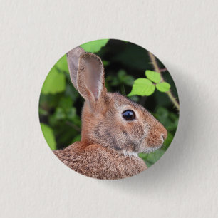 Wild Bunny Rabbit 1 Inch Round Button