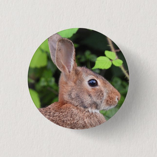 Wild Bunny Rabbit 1 Inch Round Button (Front)
