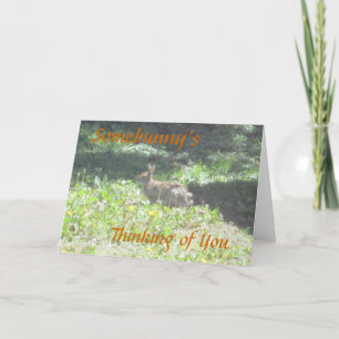 Wild Bunny "Somebunny's Thinking of You" Card