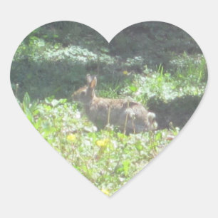 Wild Bunny Stickers - Sheet of 20