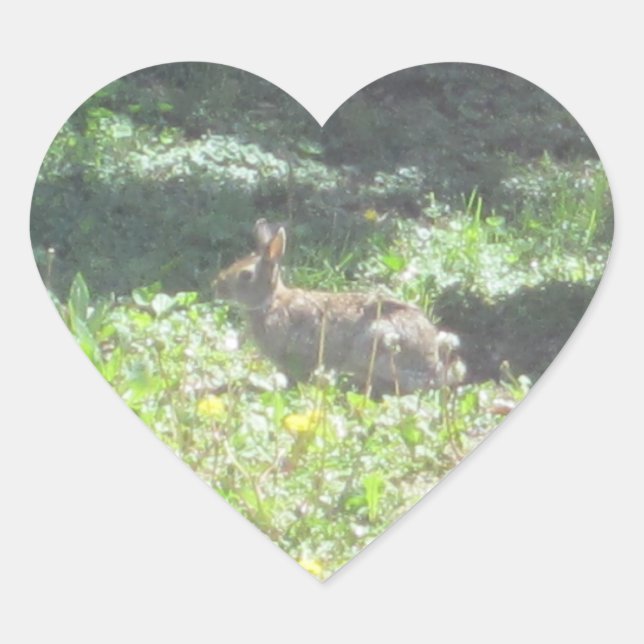 Wild Bunny Stickers - Sheet of 20 (Front)